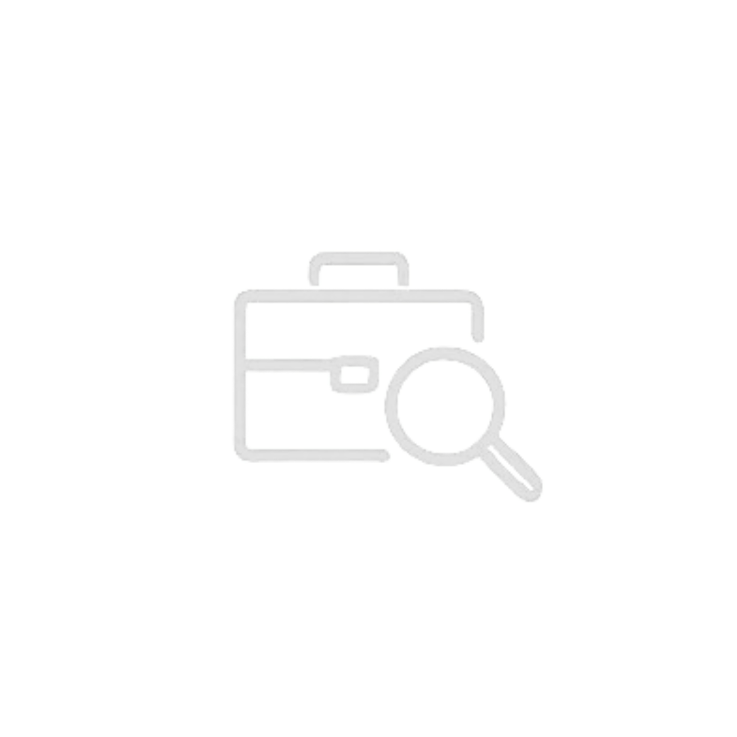 Professional
  Services