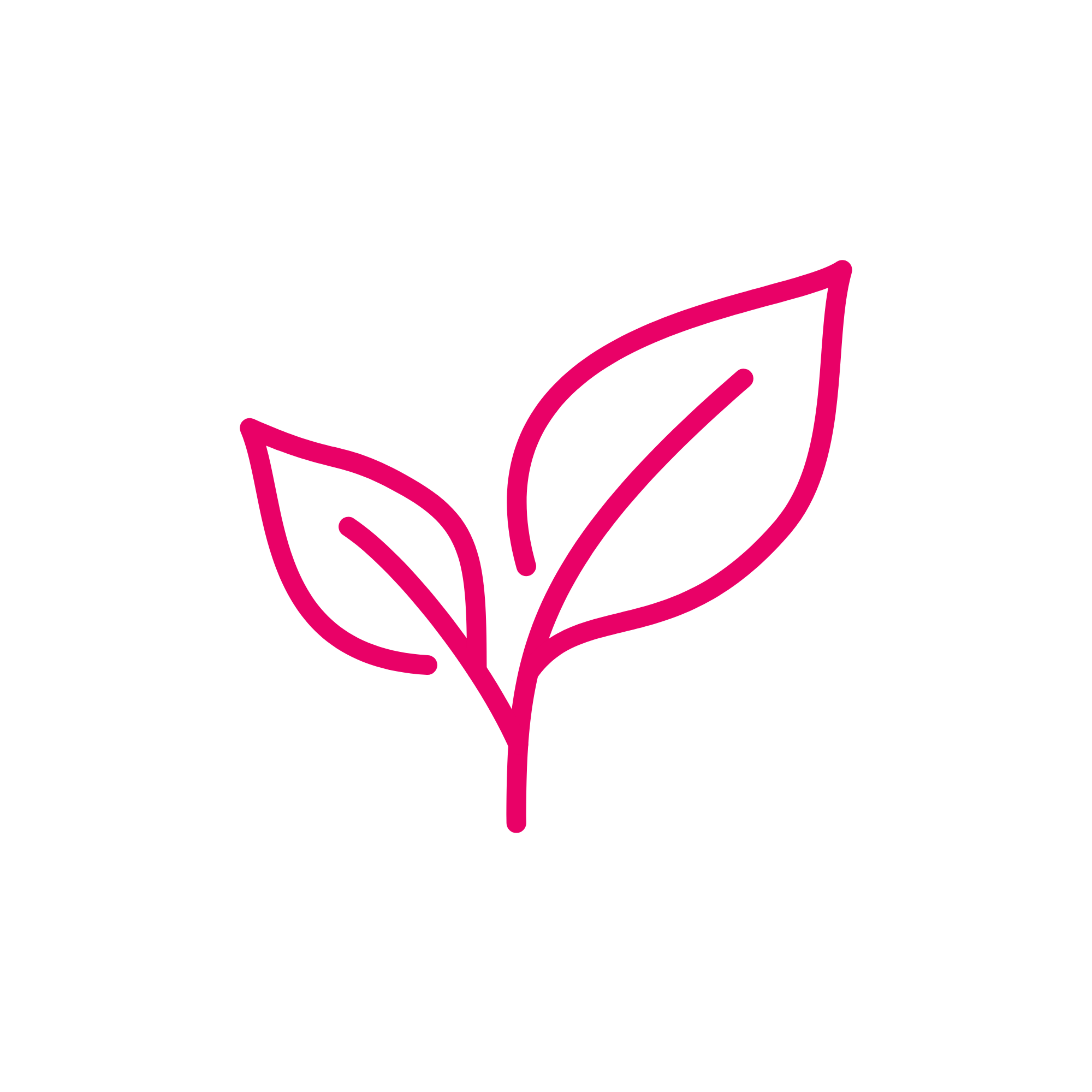 Affinitas Partnership Began