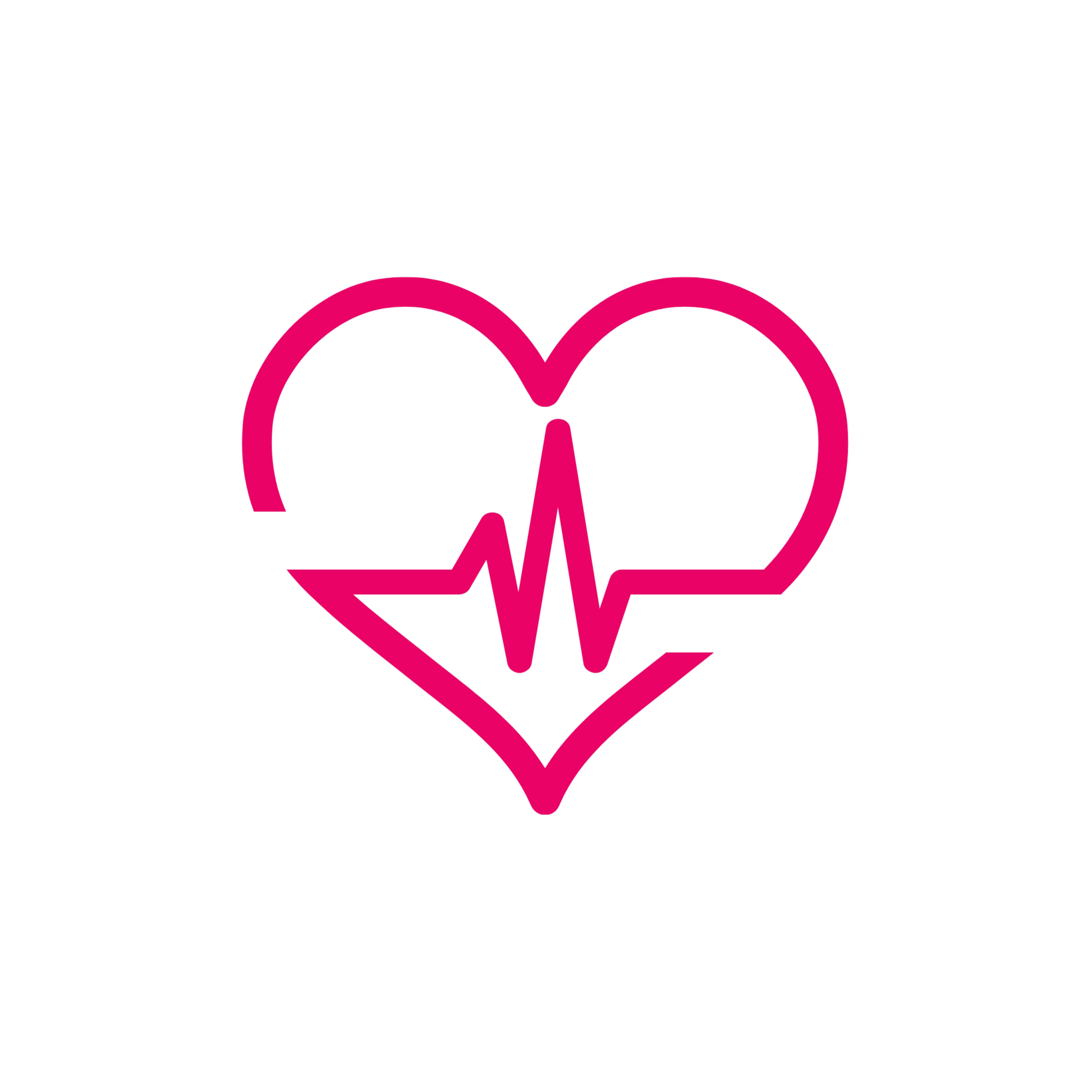 Supplemental Medical Protection