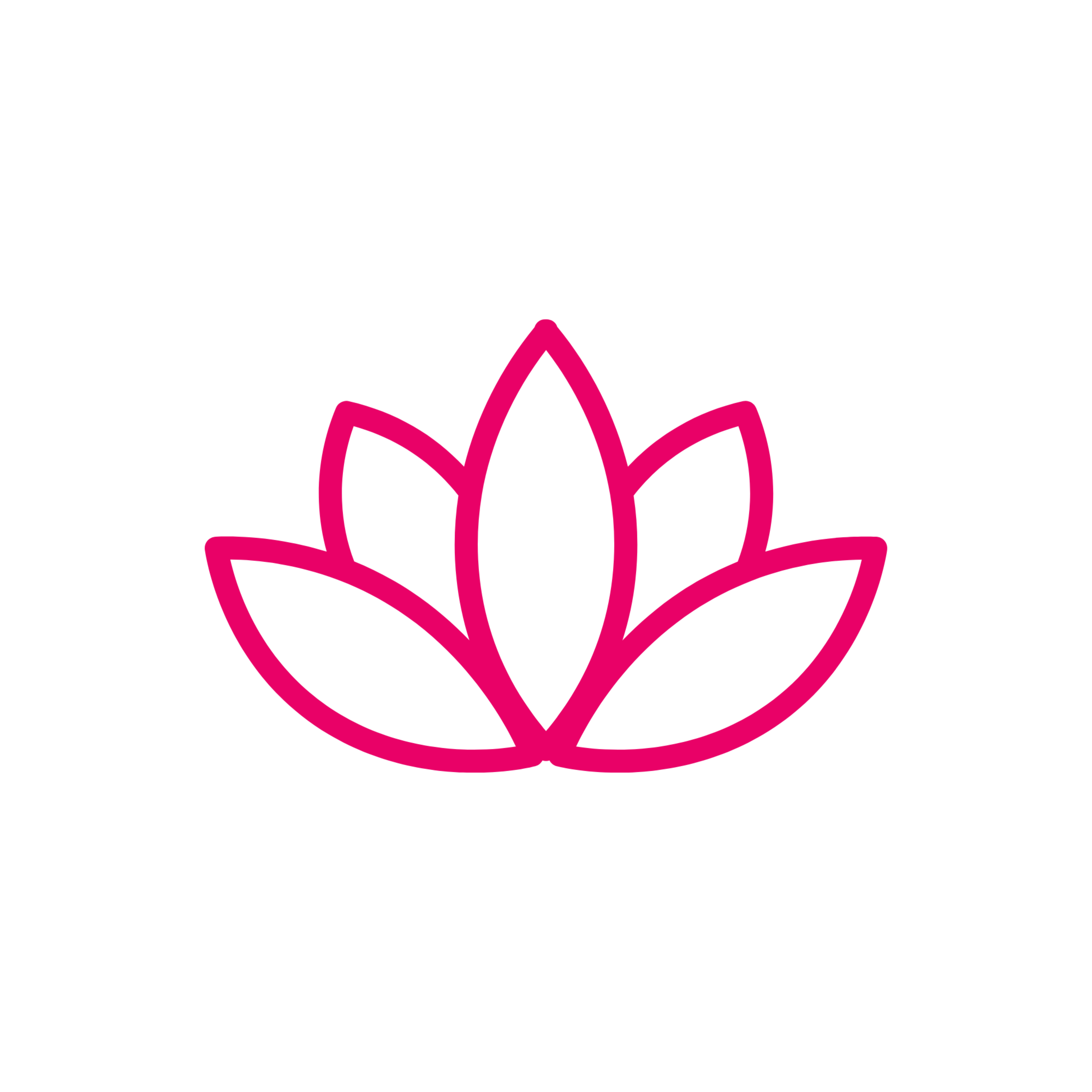 Wellness Promotion and Support